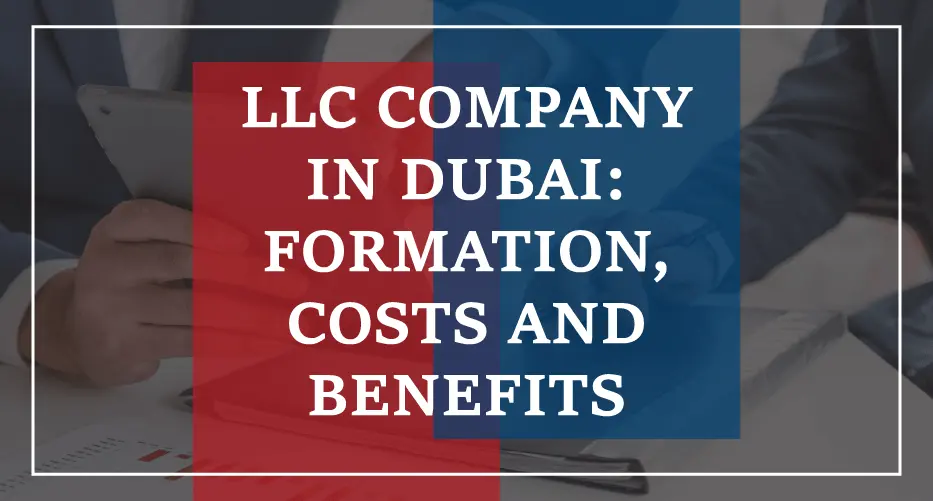 llc company