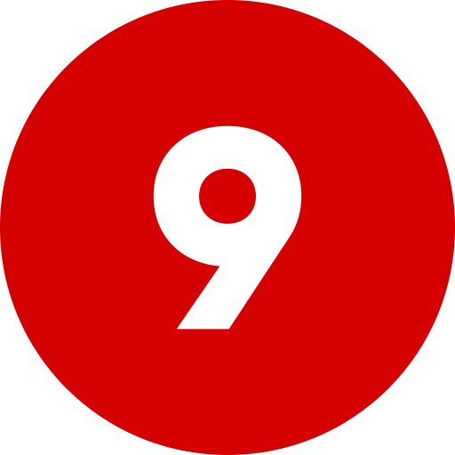 Sole Proprietorship 9 1